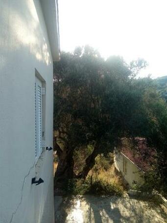 Olympia House - Photo5