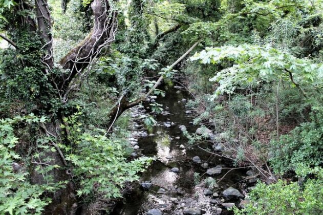 River Paradise - Photo3
