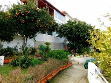 Vardia House