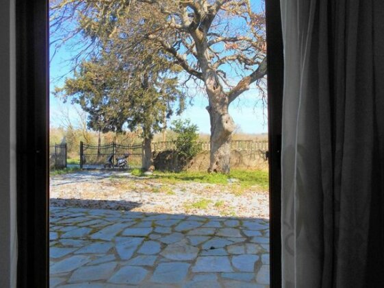 Villa Pasiphae Crete - Photo3