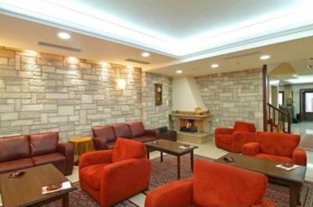 Apollonia Hotel Delphi - Photo3