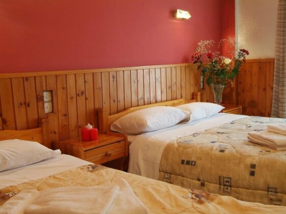 Hotel Athina Delphi - Photo5