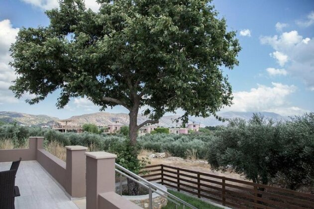 Platanus House - NEW - Photo2