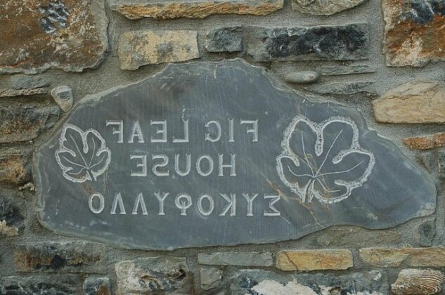 Fig Leaf House - Photo2