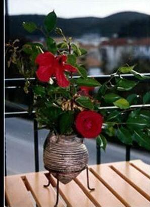 Hotel Ionion - Photo5