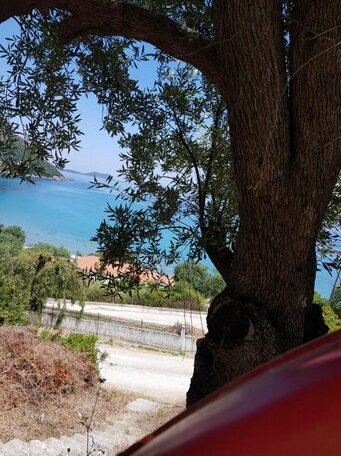 Sunnybeach - Photo2
