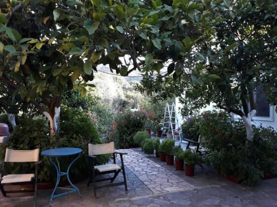 Villa Nouli - Photo2