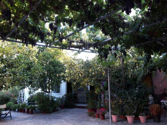 Villa Nouli - Photo3