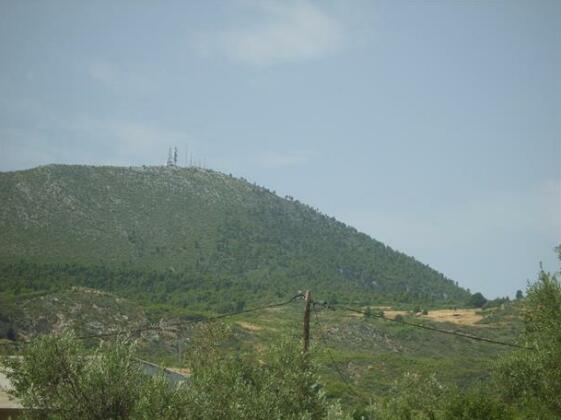 Adamakis Studios - Photo5