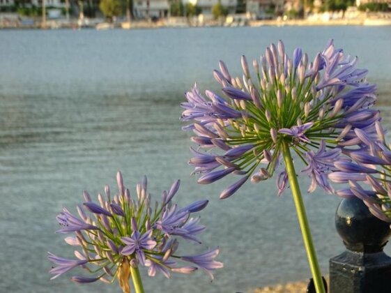 Blue Dreams Euboea - Photo4