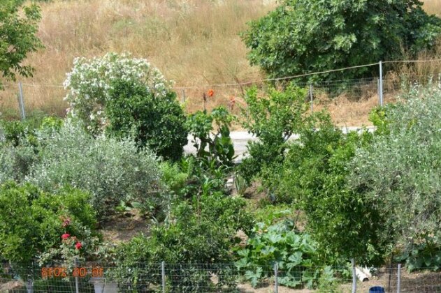 Eleni's Village Relaxation Home - Photo5