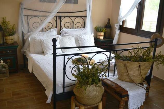 Eviafoxhouse - Photo5