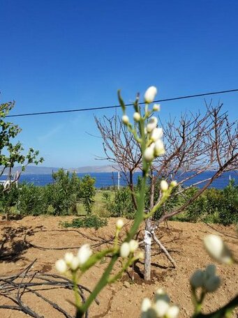 Hand Crafted with sea View - Photo3