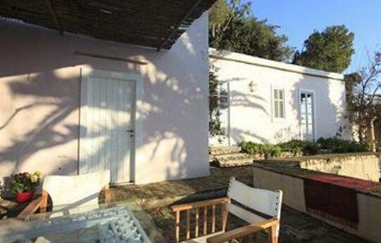 The Montofoli Estate - Photo3