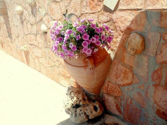 Aloe Villa Exopoli - Photo2