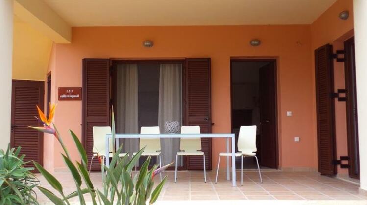 Bougainvillea Exopoli - Photo2