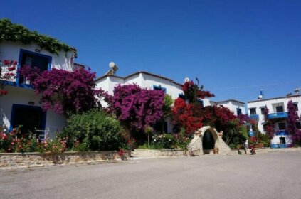 Villa Galini Exopoli