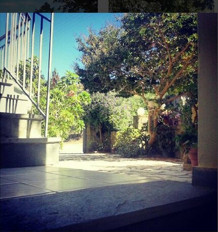 Ilias Apartments Foinikounda - Photo5