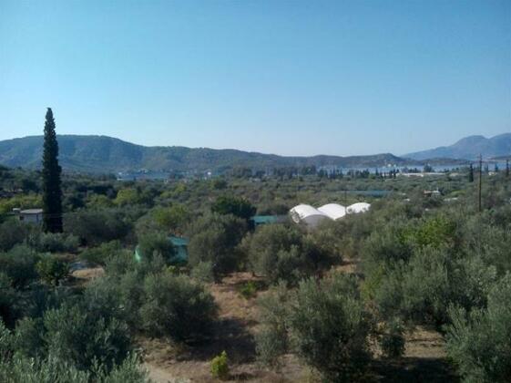 The Olive Branch Galatas - Photo4