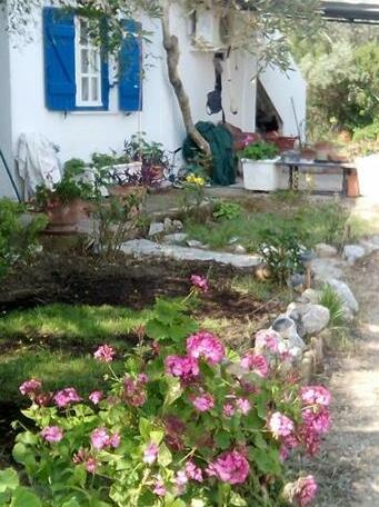 The Olive Branch Galatas - Photo5