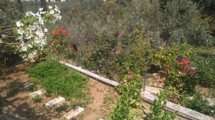 Trizinia View