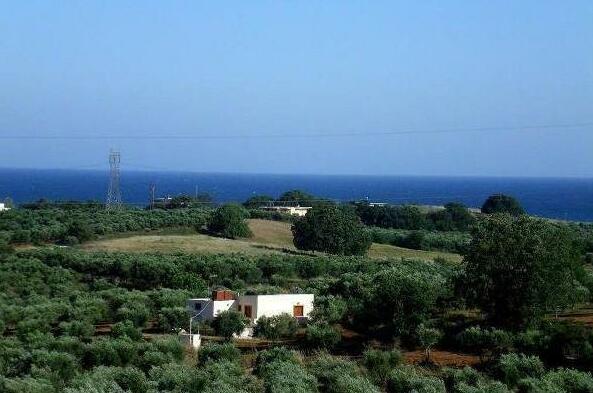 Pinelopi Apartments - Photo5