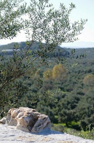 Ati Villa with pool near Gythio Peloponnese - Photo4