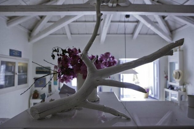 Beautiful traditional house in Hydra - Photo5