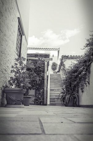 Filenia