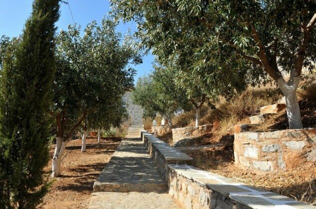 Hydra Erato - Photo3