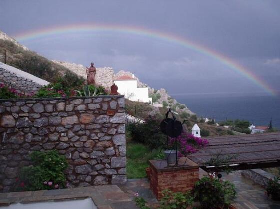 Hydra Erato - Photo4