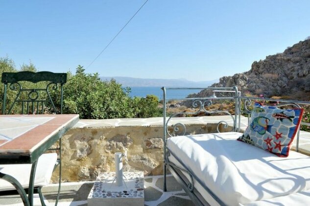 Hydra Erato - Photo5