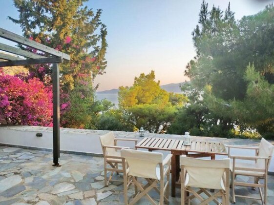 Pine Trees and Sea View house in Hydra - Photo4