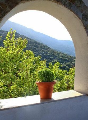 Villa Tsouredo - Photo3