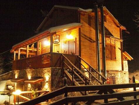 Chalet Parea - Photo4