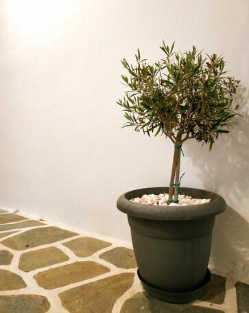Aelia Rooms &Apartments - Photo3