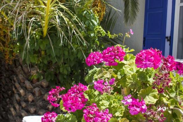 Naxos Holidays Hotel - Photo2