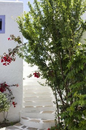 Naxos Holidays Hotel - Photo3