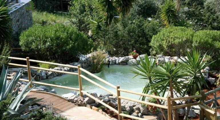 Villa Zografos - Photo3