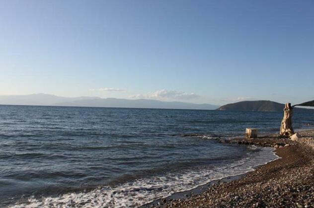 Finikas Iria - Photo2