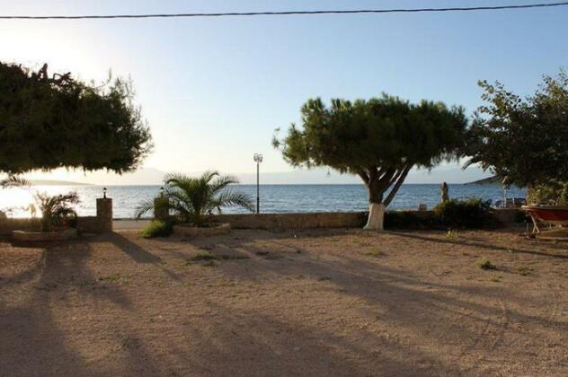 Finikas Iria - Photo3