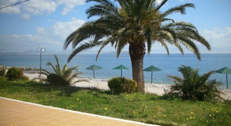 Iria Beach Hotel - Photo5