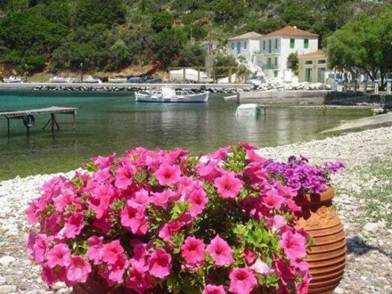 Aristotelis Ithaca Apartments - Photo3