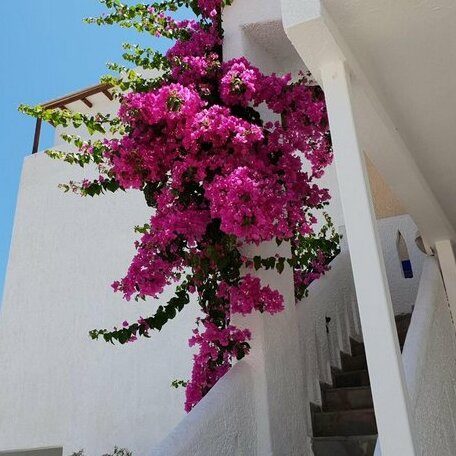 Hotel Aglaia - Photo4