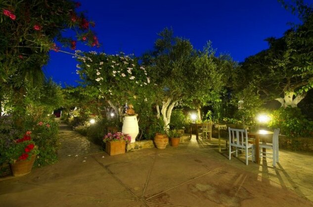 Harry's Paradise - Photo5