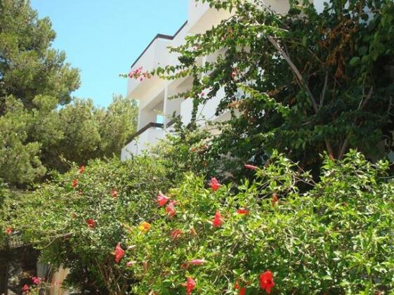 Pegasus Kalymnos - Photo2