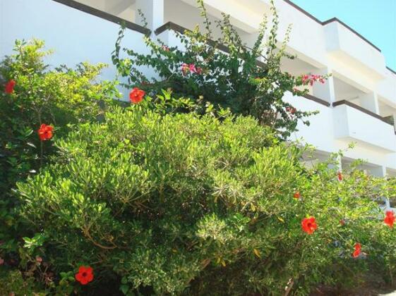 Pegasus Kalymnos - Photo3