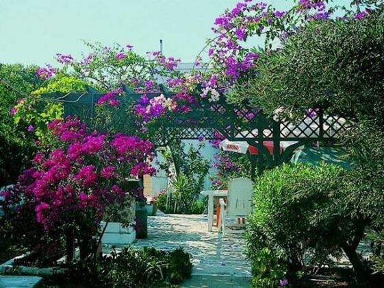 Paradise Studios Pigadia - Photo3