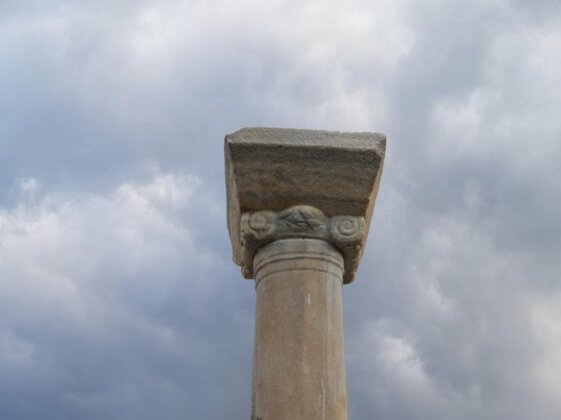 Roses Studios Karpathos - Photo5