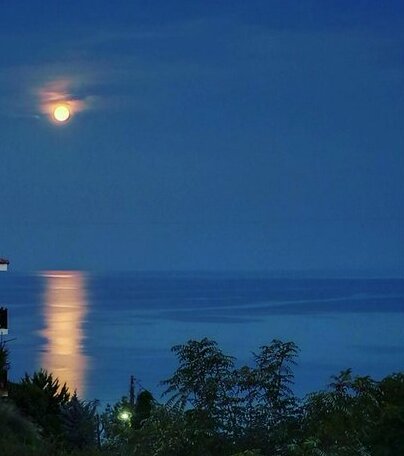 Afytos Dream suites - Photo2